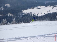 feldberg20100316_067