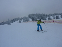 feldberg_20130112_012