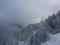 feldberg_20130112_021