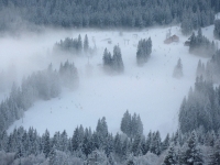 feldberg_20130113_019