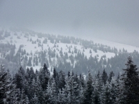 feldberg_20130125_023