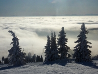 feldberg_20130126_030