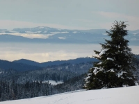 feldberg_20140118_027