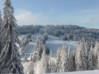 feldberg_20140125_041