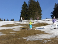 Feldberg_20150106_048