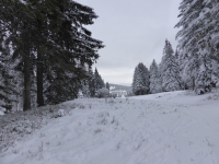 Feldberg_20150119_024