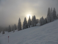 Feldberg_20150124_048