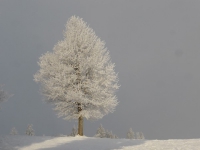 Feldberg_20150124_051