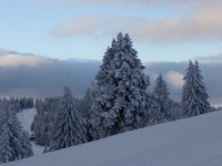 Feldberg_20150125_077