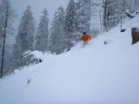 in the Pow