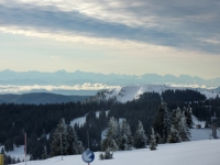 feldberg_20120103_016