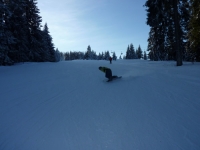 feldberg_20120115_040