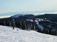 feldberg_20120118_139