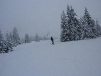 feldberg_20120129_008