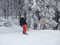 feldberg_20120130_051