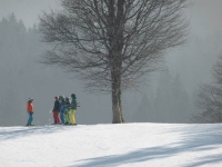 feldberg_20140308_016