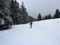 feldberg_20120305_035