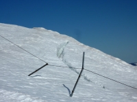 feldberg_20120315_007