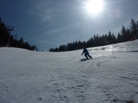 feldberg_20120329_033