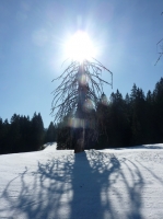 feldberg_20120329_034