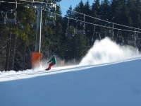 feldberg_20130304_040