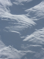 feldberg_20130315_024