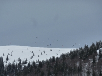 feldberg_20130316_079