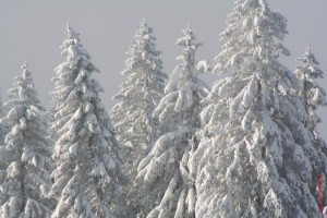 feldberg_20081213_007