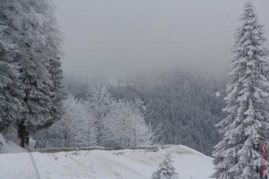 feldberg_20081218_001