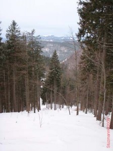 feldberg20090124_017