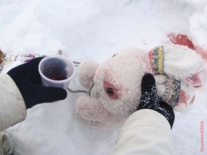 feldberg20090124_026