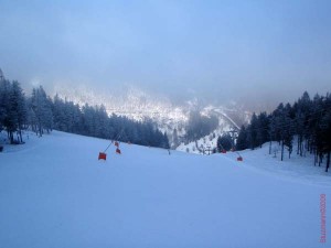 feldberg20090129_025