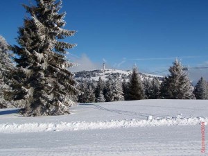 feldberg20090130_013