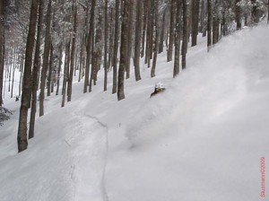 feldberg20090211_503