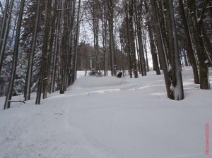 feldberg20090211_511