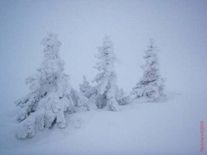 feldberg20090214_008