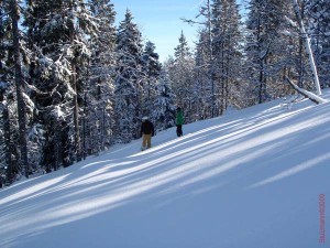 feldberg20090215_155