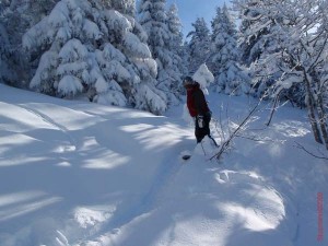 feldberg20090218_106