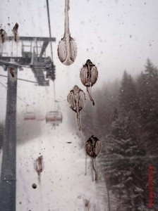 feldberg20090305_018