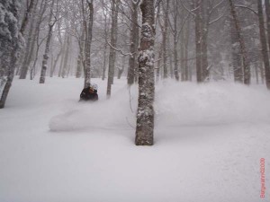 feldberg20090306_031