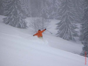 feldberg20090306_095