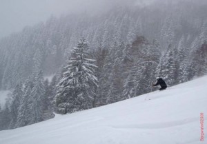 feldberg20090306_098