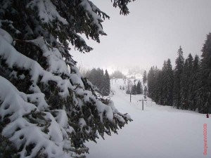 feldberg20090309_003