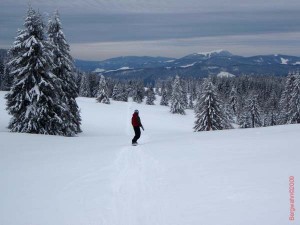 feldberg20090312_030