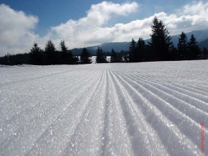 feldberg20090316_012