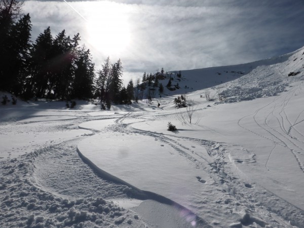 Feldberg_20150308_490