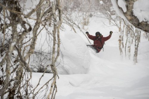 Powdersurfen