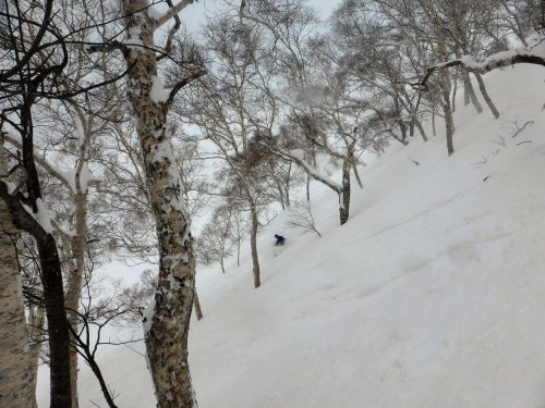 Durch die Wälder