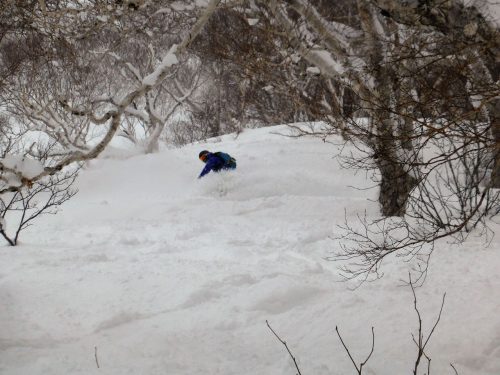 Holger in the Wood