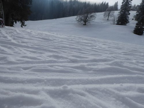 Sulzgriessumpf